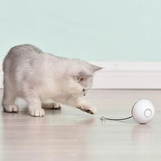 WARNING: This Smart Toy May Cause Extreme Cat Happiness!