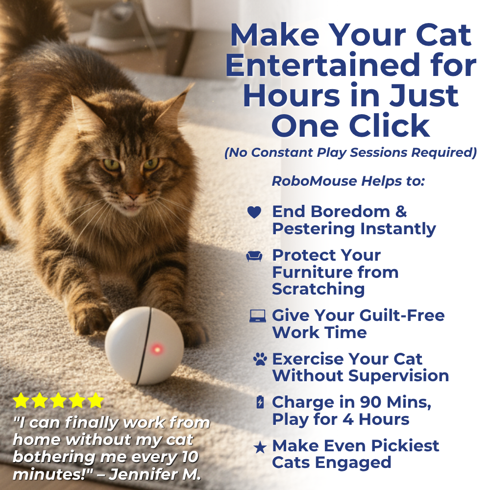 The Smart Toy That's Saving Furniture (And Sanity) in 1,000+ Homes!