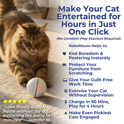 The Smart Toy That's Saving Furniture (And Sanity) in 1,000+ Homes!