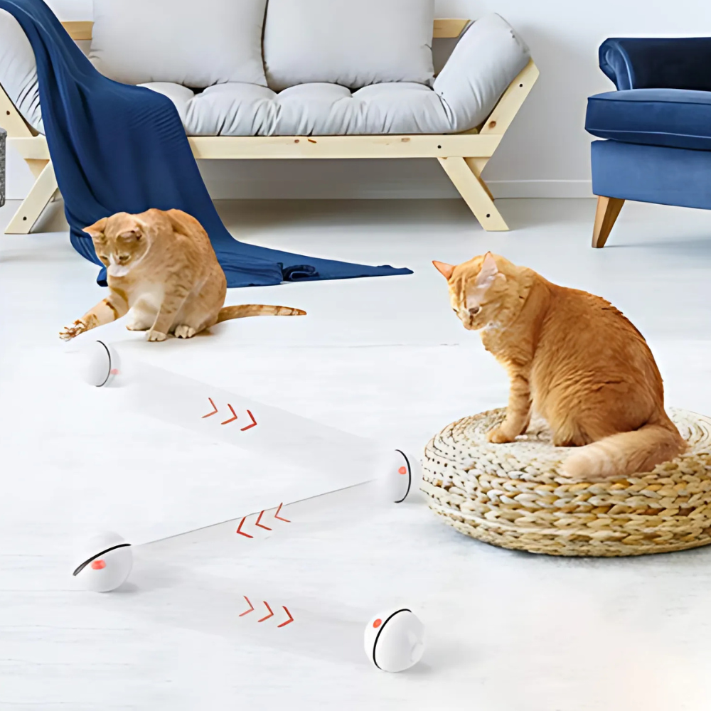 WARNING: This Smart Toy May Cause Extreme Cat Happiness!