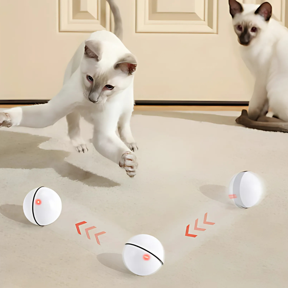 WARNING: This Smart Toy May Cause Extreme Cat Happiness!