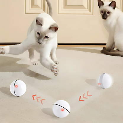 WARNING: This Smart Toy May Cause Extreme Cat Happiness!