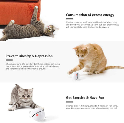 WARNING: This Smart Toy May Cause Extreme Cat Happiness!
