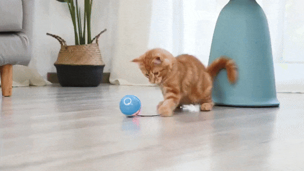 WARNING: This Smart Toy May Cause Extreme Cat Happiness!